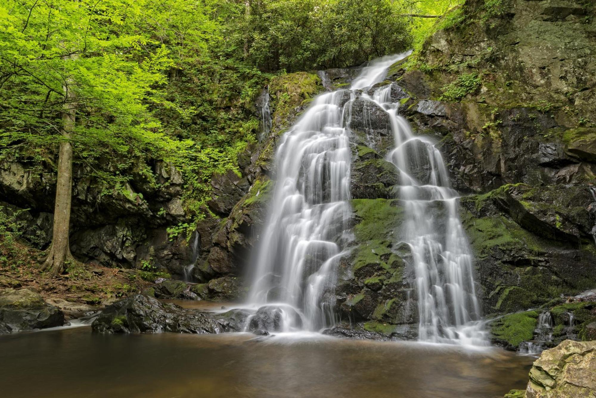 Lazy Bear Lodge, Hot Tub, Resort Pool, Wifi, 1089 Free Tickets Each Paid Day, Dollywood And More Gatlinburg Ngoại thất bức ảnh