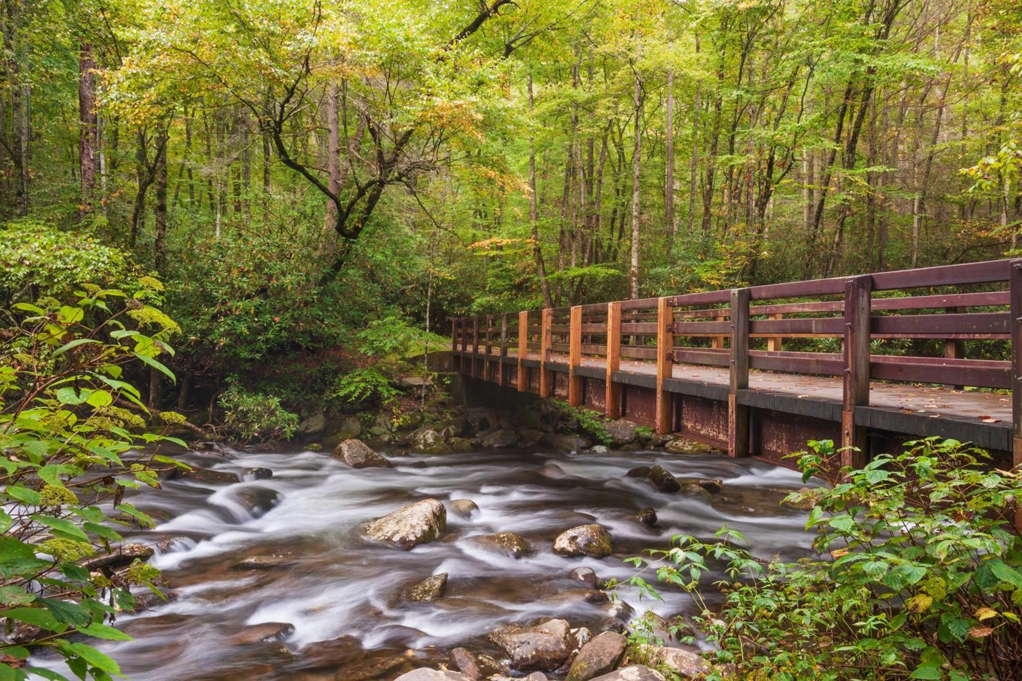 Lazy Bear Lodge, Hot Tub, Resort Pool, Wifi, 1089 Free Tickets Each Paid Day, Dollywood And More Gatlinburg Ngoại thất bức ảnh