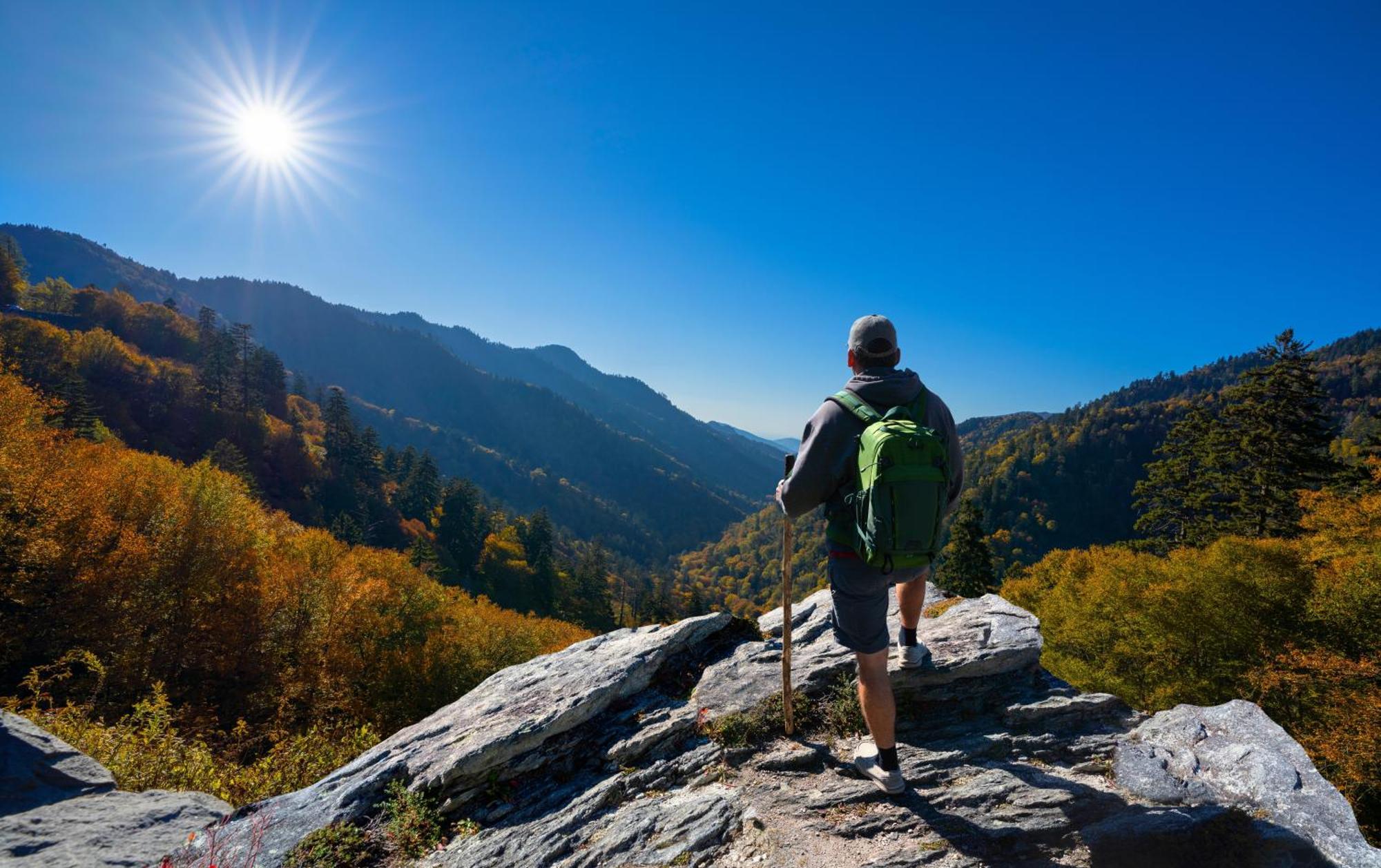 Lazy Bear Lodge, Hot Tub, Resort Pool, Wifi, 1089 Free Tickets Each Paid Day, Dollywood And More Gatlinburg Ngoại thất bức ảnh